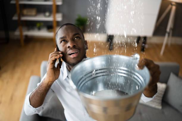 Best Local water damage restoration  in Corry, PA