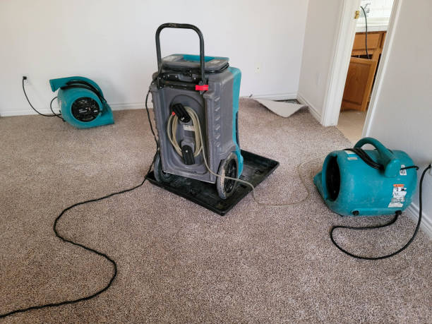 Best Water damage restoration specialists  in Corry, PA