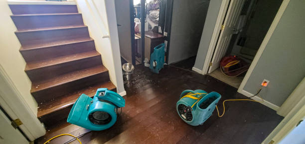 Best Mold removal after water damage  in Corry, PA