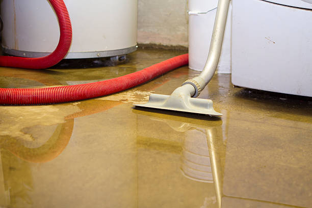 Best Ceiling water damage repair  in Corry, PA
