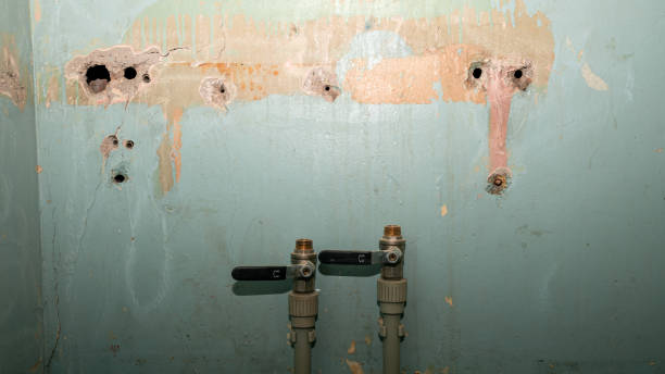 Best Flood restoration services  in Corry, PA
